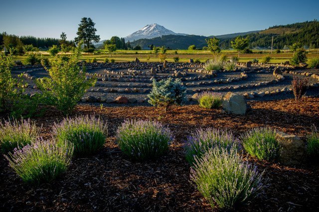 Ayurveda + Yoga with Joanne Matson at Trout Lake Abbey