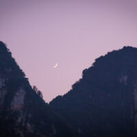 January Energy Report