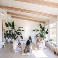 Plant Medicine Retreats at Enfold Institute