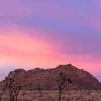 Head + Heart Fall Retreats and Experiences Guide