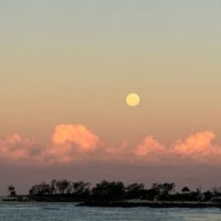 channeled messages for the rest of 2025