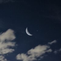 February Astrology Report and Lunar New Year