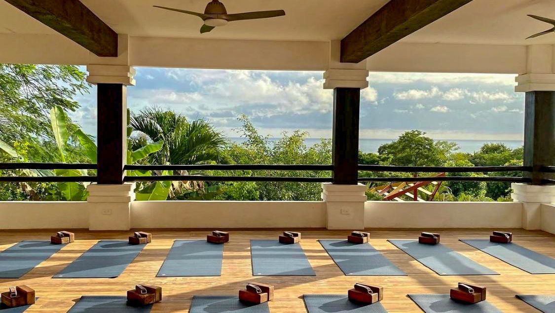 Bhakti Vinyasa Yoga & Mantra