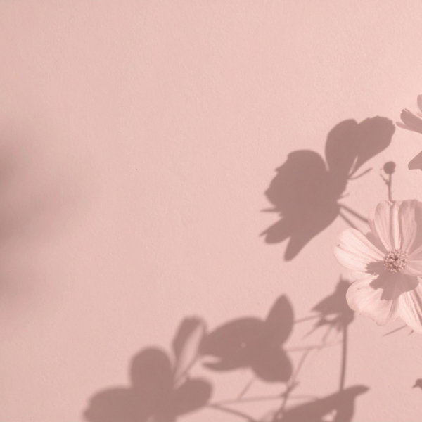 Energies of Spring 2026