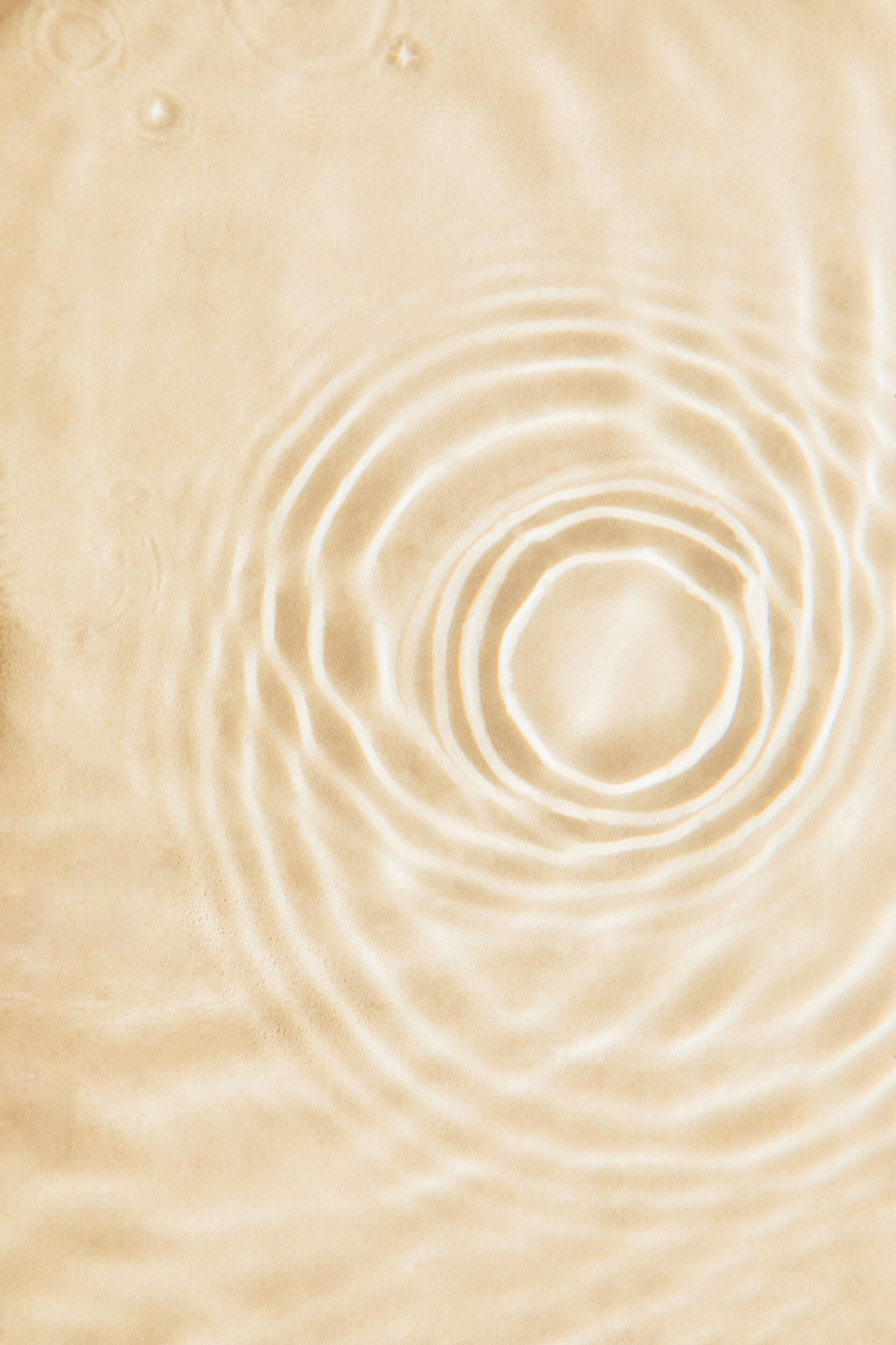 April 5: Staying Rooted & Quietly Radiant