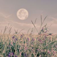 July Astrology Forecast