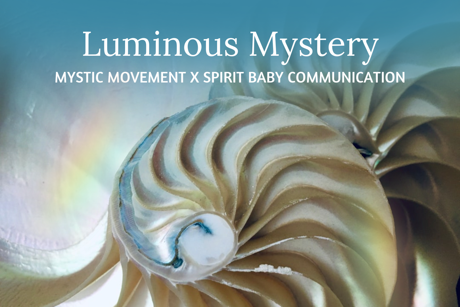 Luminous Mystery - Mystic Movement X Spirit Baby Communication