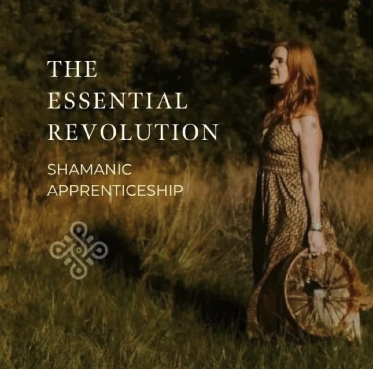 The Essential Revolution Shamanic Apprenticeship