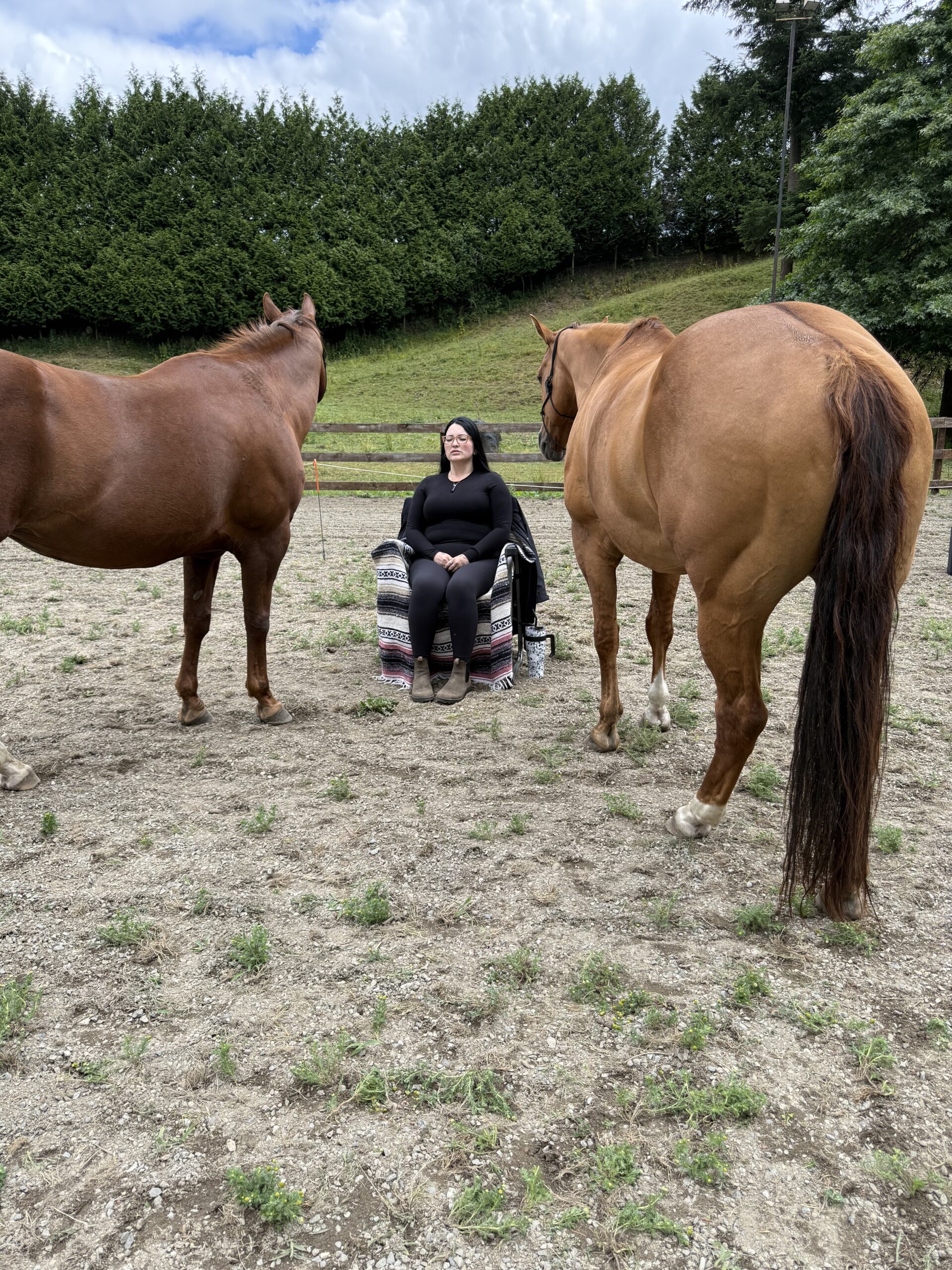 Breathwork with Horses at private setting in Aldergrove