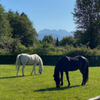 river-haven-farm